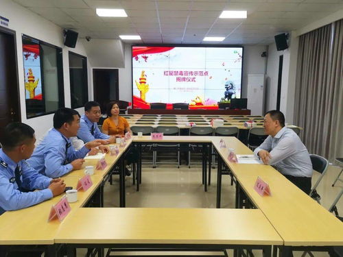 為民辦實事 同安區(qū)司法局教育整頓出實效，成果轉(zhuǎn)化惠民生